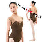 Sexy Mesh Embroidery Dancewear Ballet Leotard